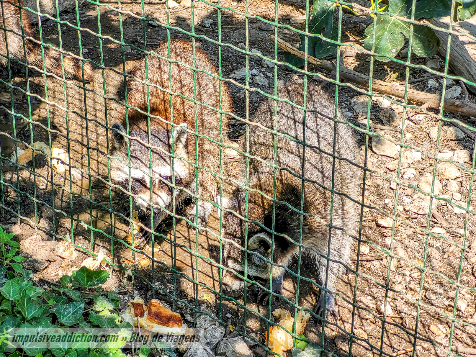 Europaradise Zoo