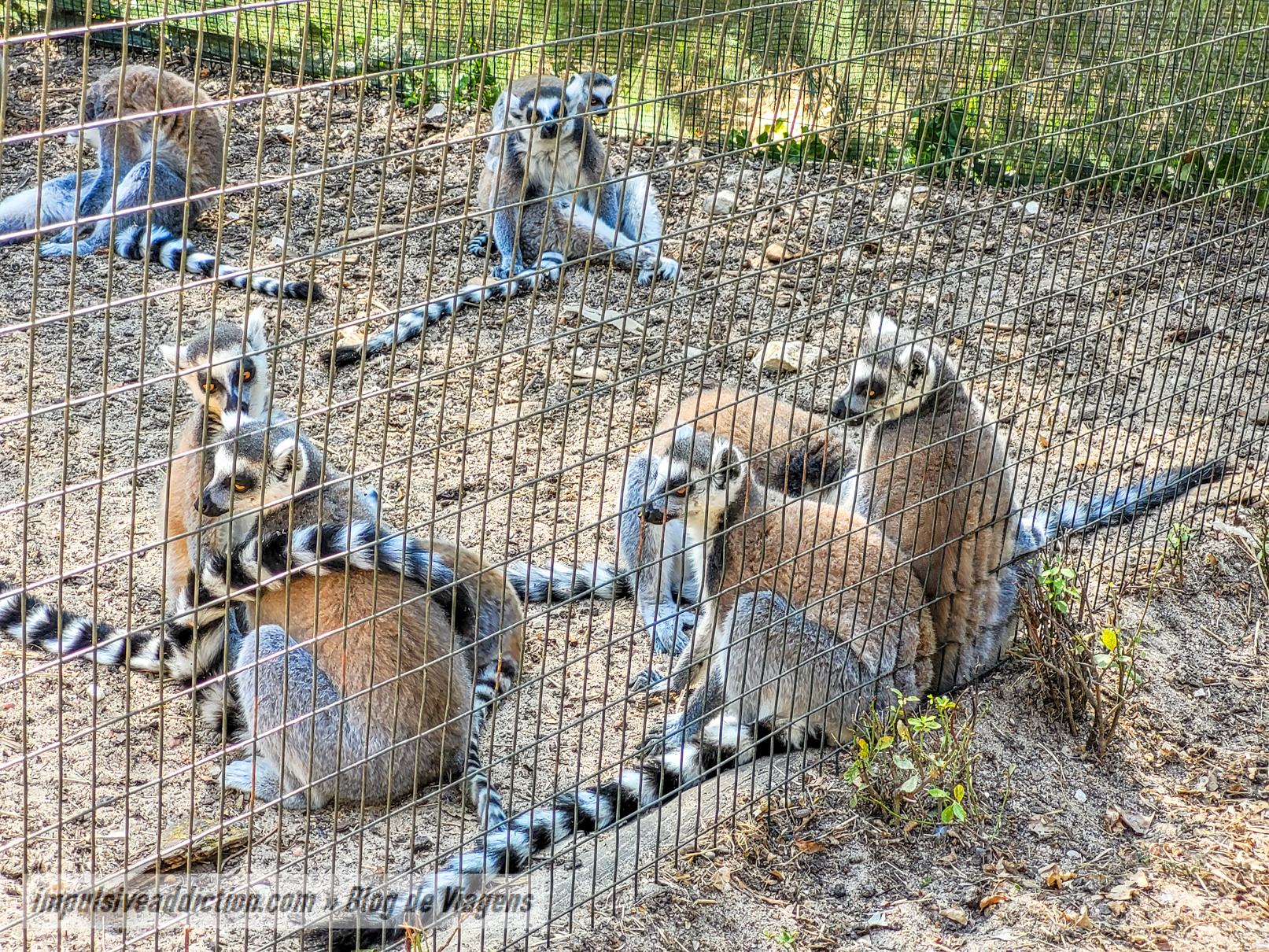 Europaradise Zoo