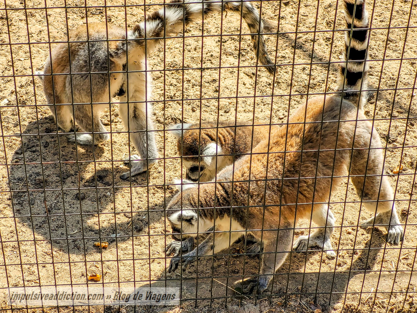 Europaradise Zoo