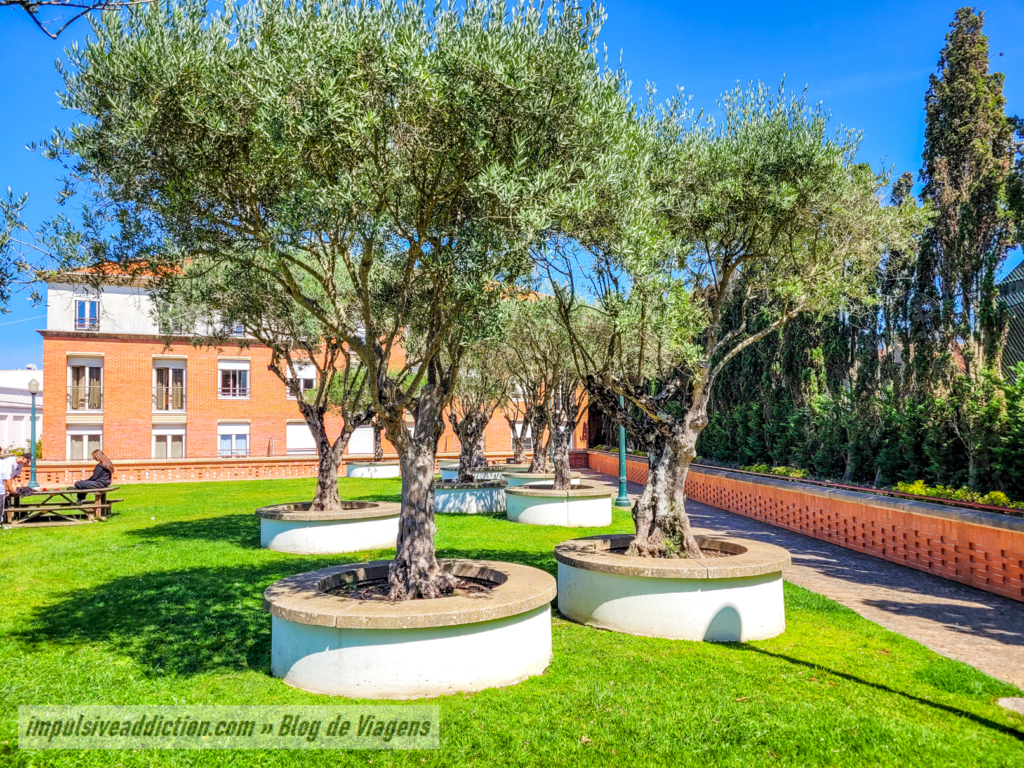Garden of Olives at the top of Aveiro Forum