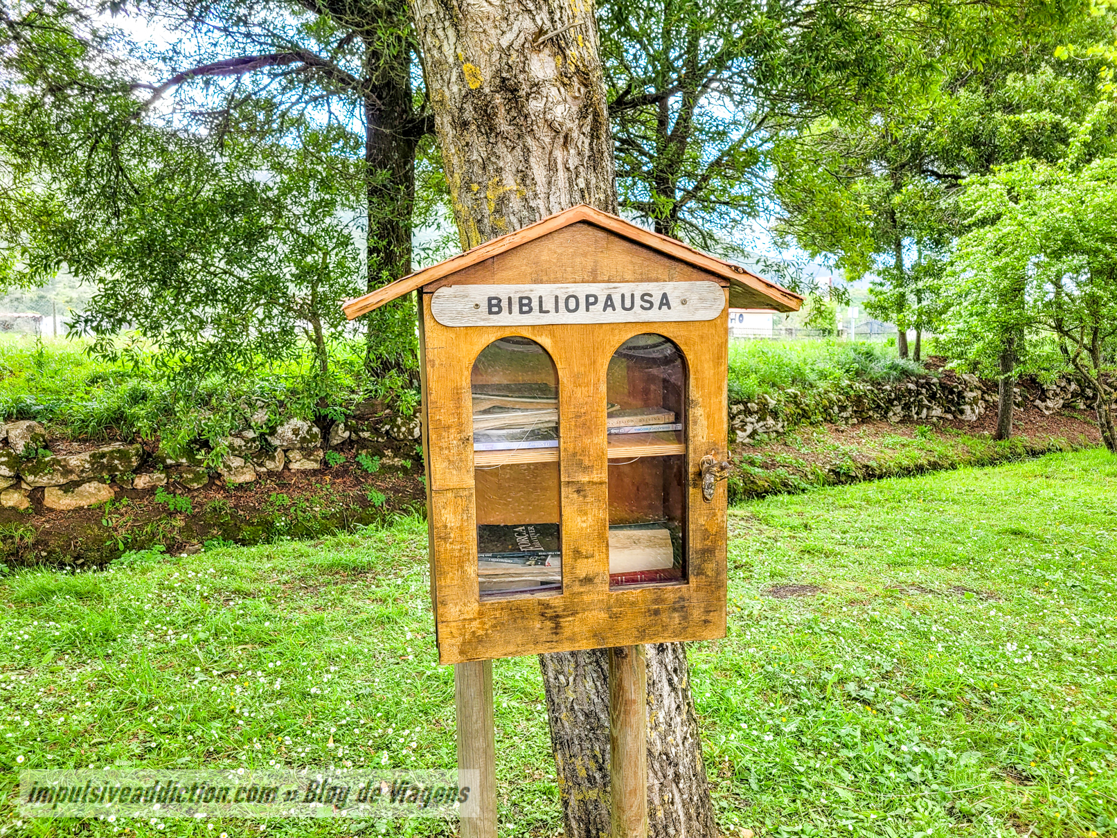 Bibliopausa da Lagoa de Alvados :)