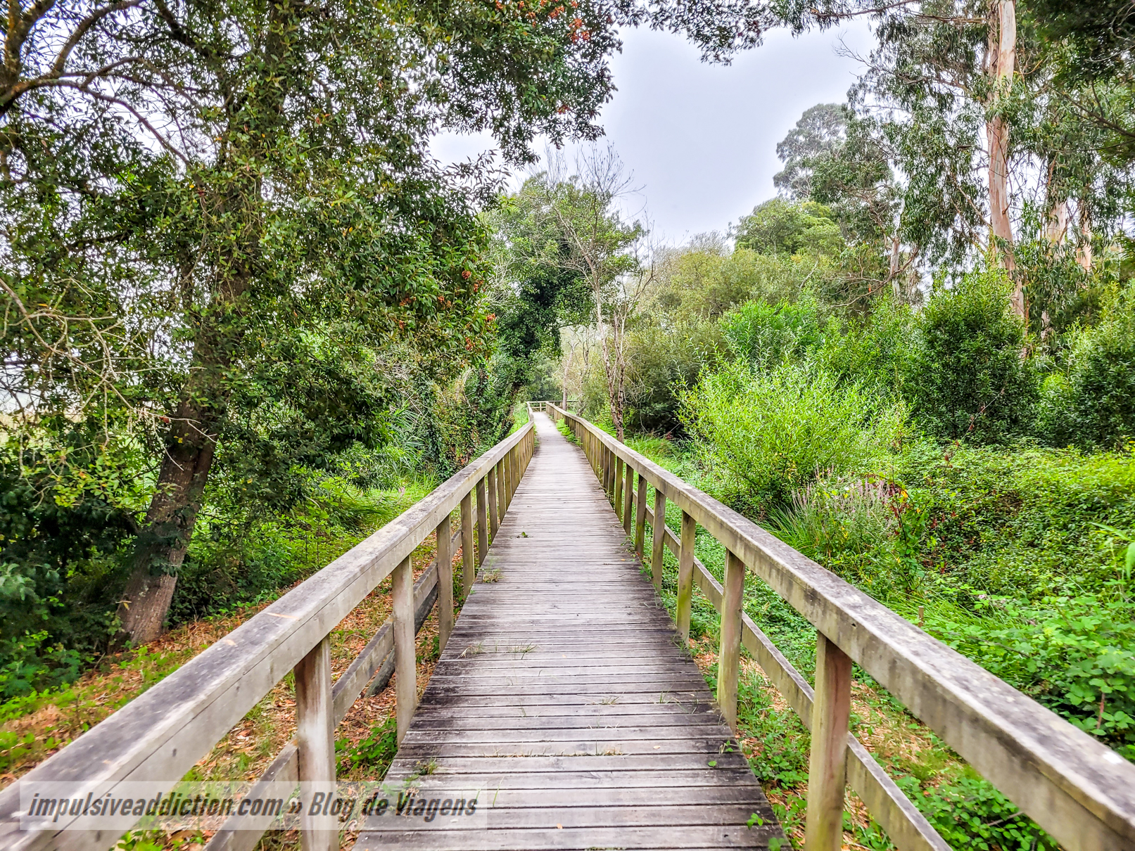 Mira lagoon walkways