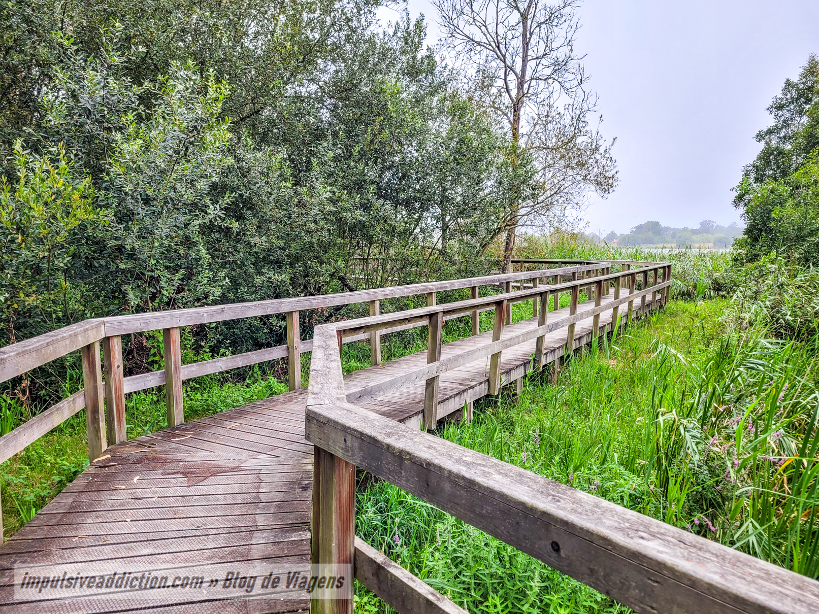 Mira lagoon walkways