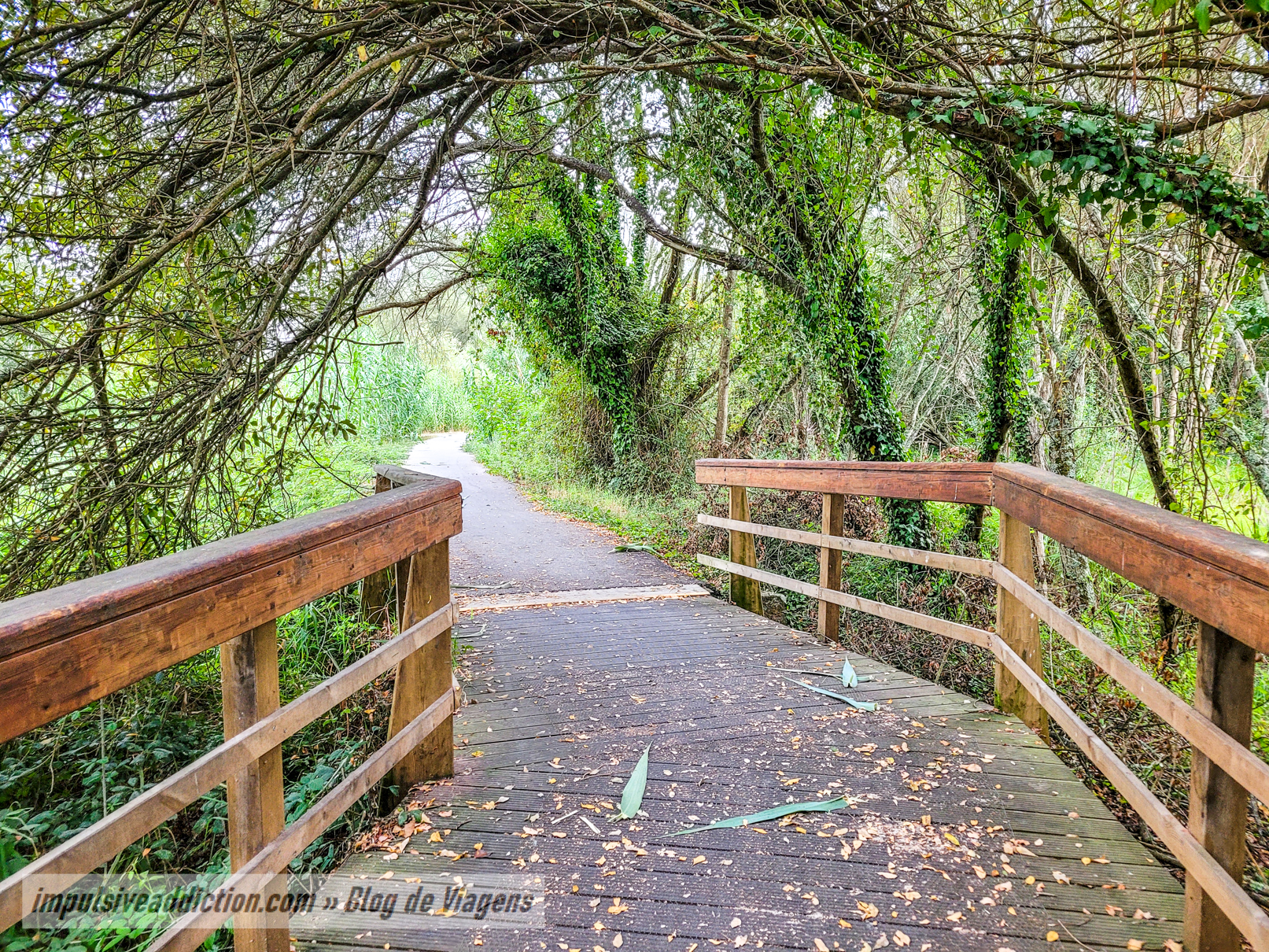 Mira lagoon walkways
