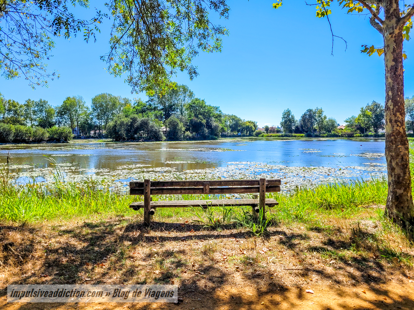 Lagoa dos Coadiçais