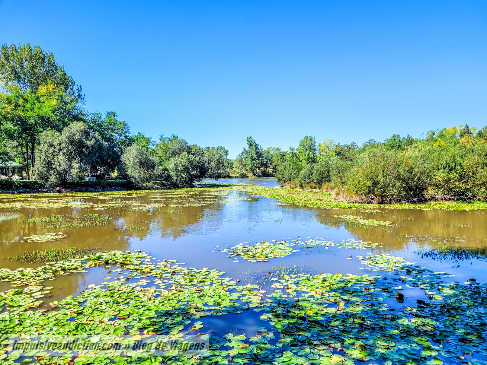 Lagoa dos Coadiçais