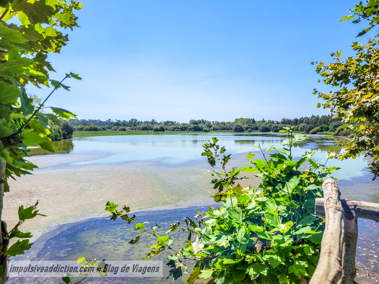 Lagoa dos Teixoeiros