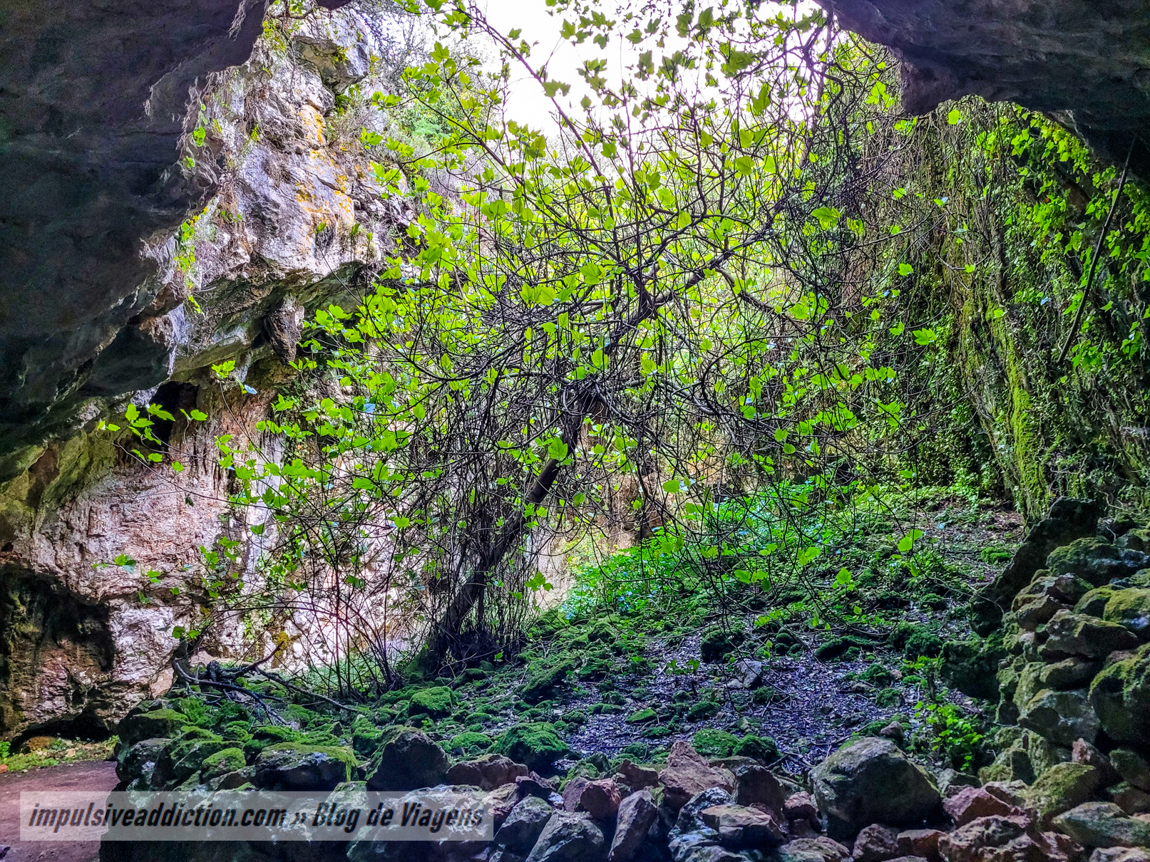 Algar e Lapa da Cerejeira