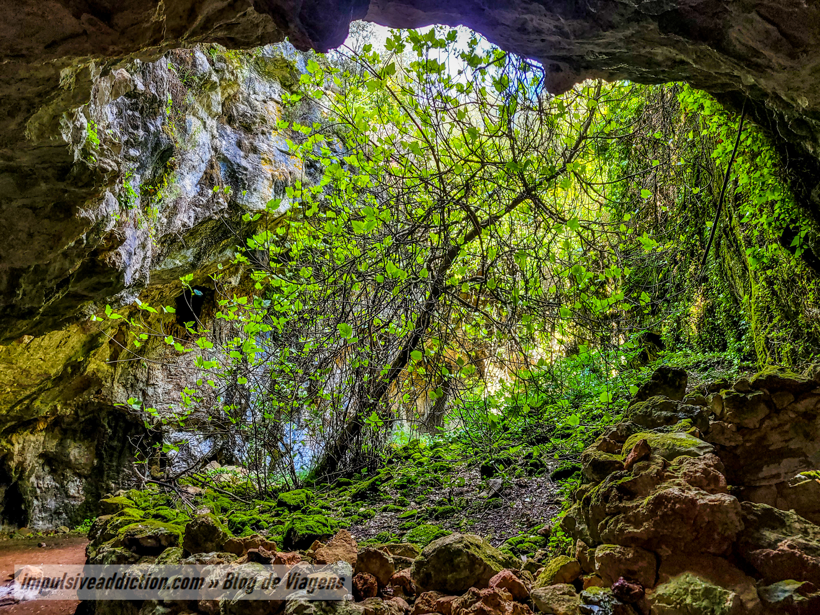 Algar e Lapa da Cerejeira