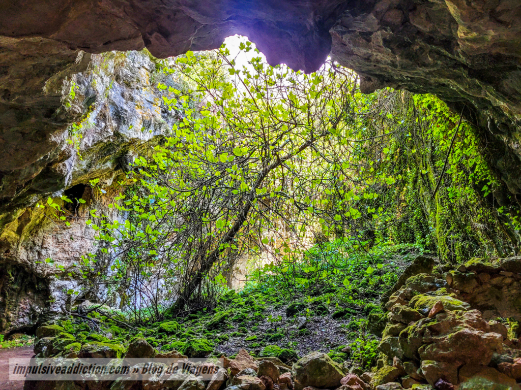 Algar e Lapa da Cerejeira