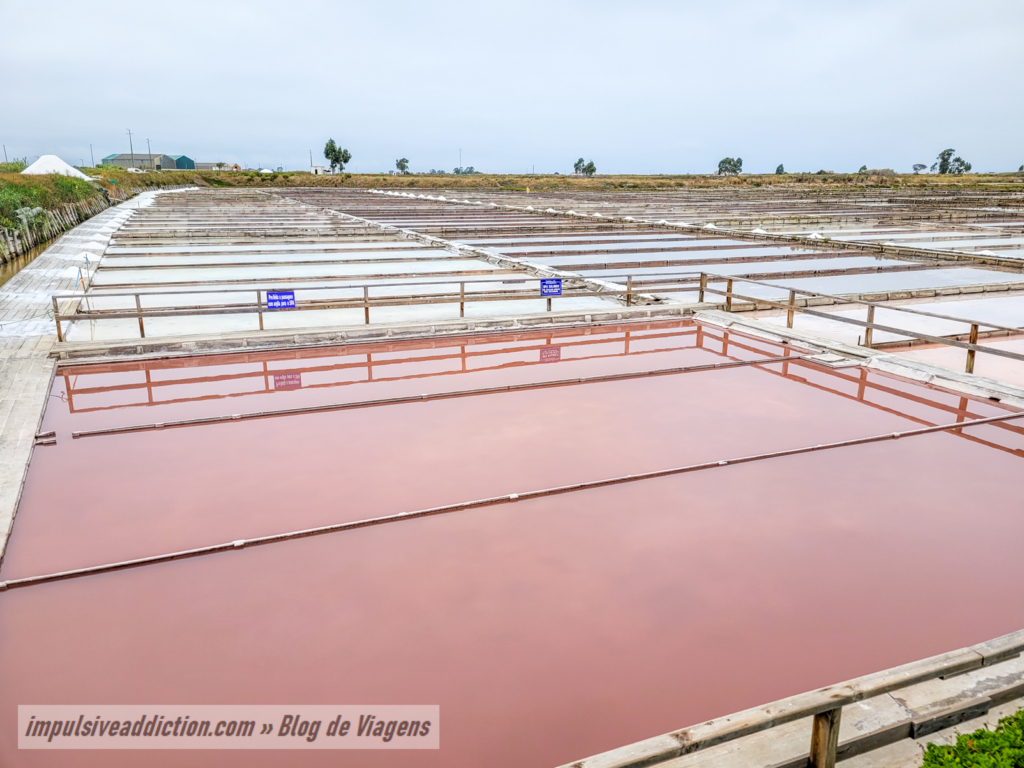 Salt Spa at Marinha da Noeirinha