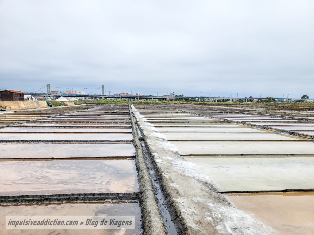 Marinha da Troncalhada - Salt Flats of Aveiro