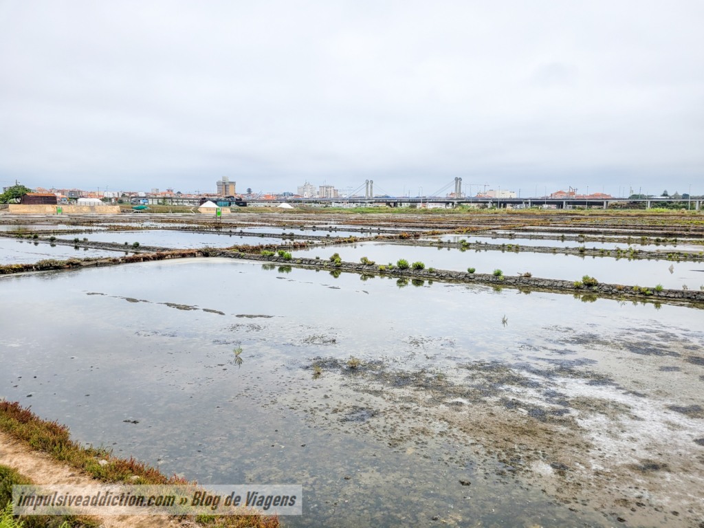 Marinha da Troncalhada - Salt Flats of Aveiro
