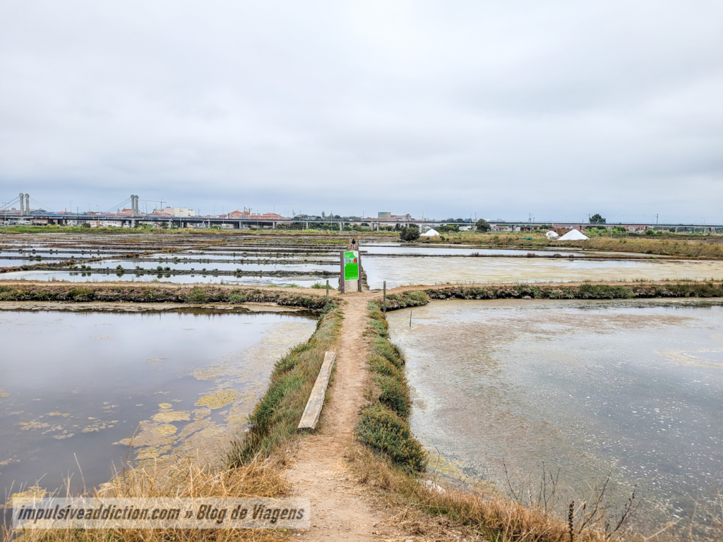 Marinha da Troncalhada - Salt Flats of Aveiro