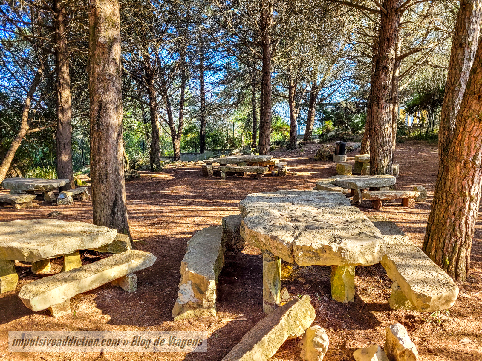 Parque de Merendas da Mata do Carrascal