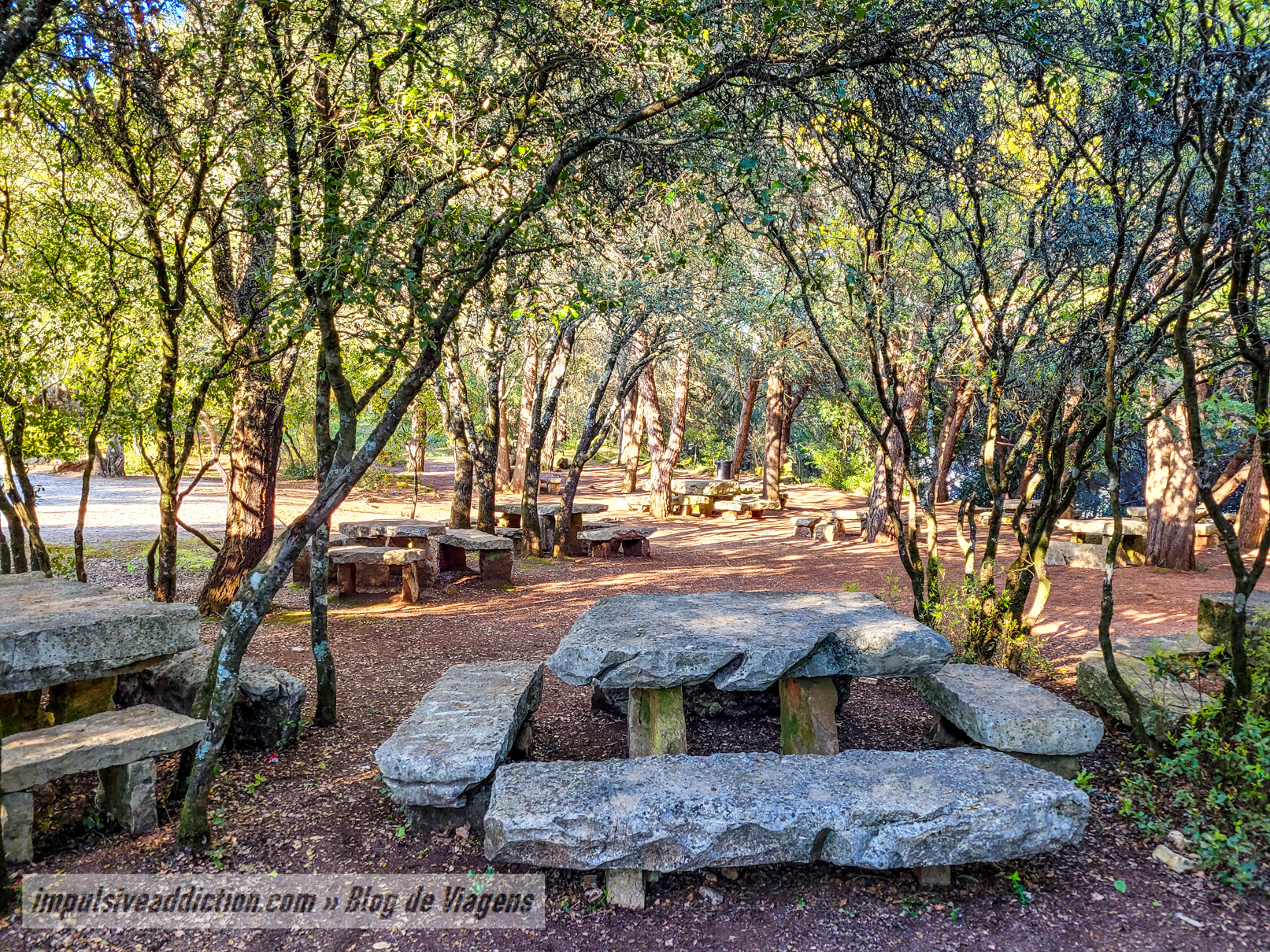 Parque de Merendas da Mata do Carrascal