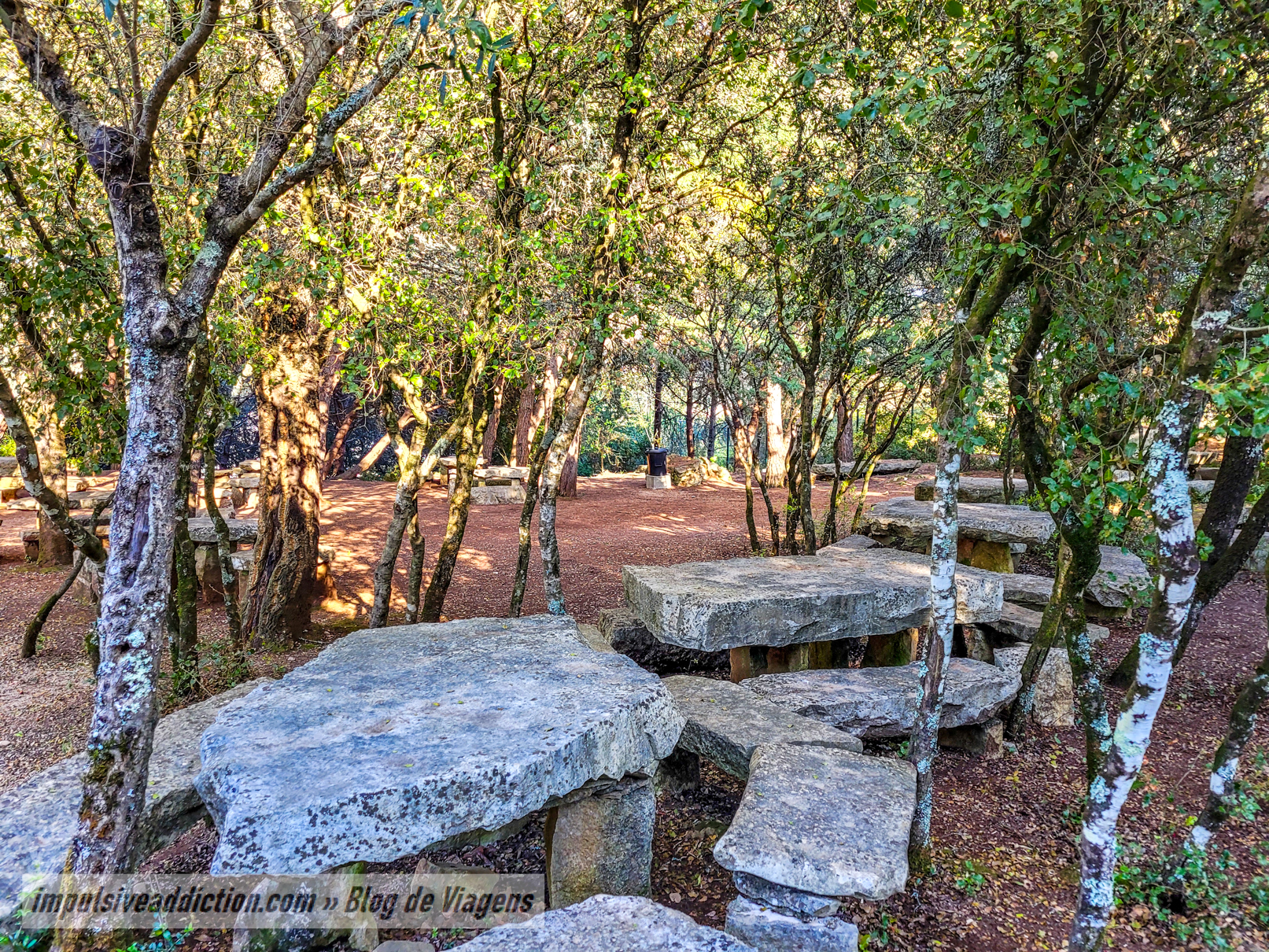 Parque de Merendas da Mata do Carrascal
