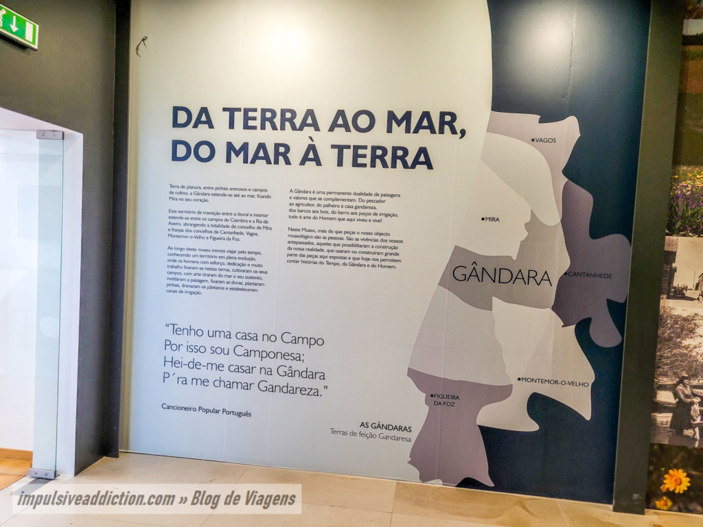 Gândara Territory Museum