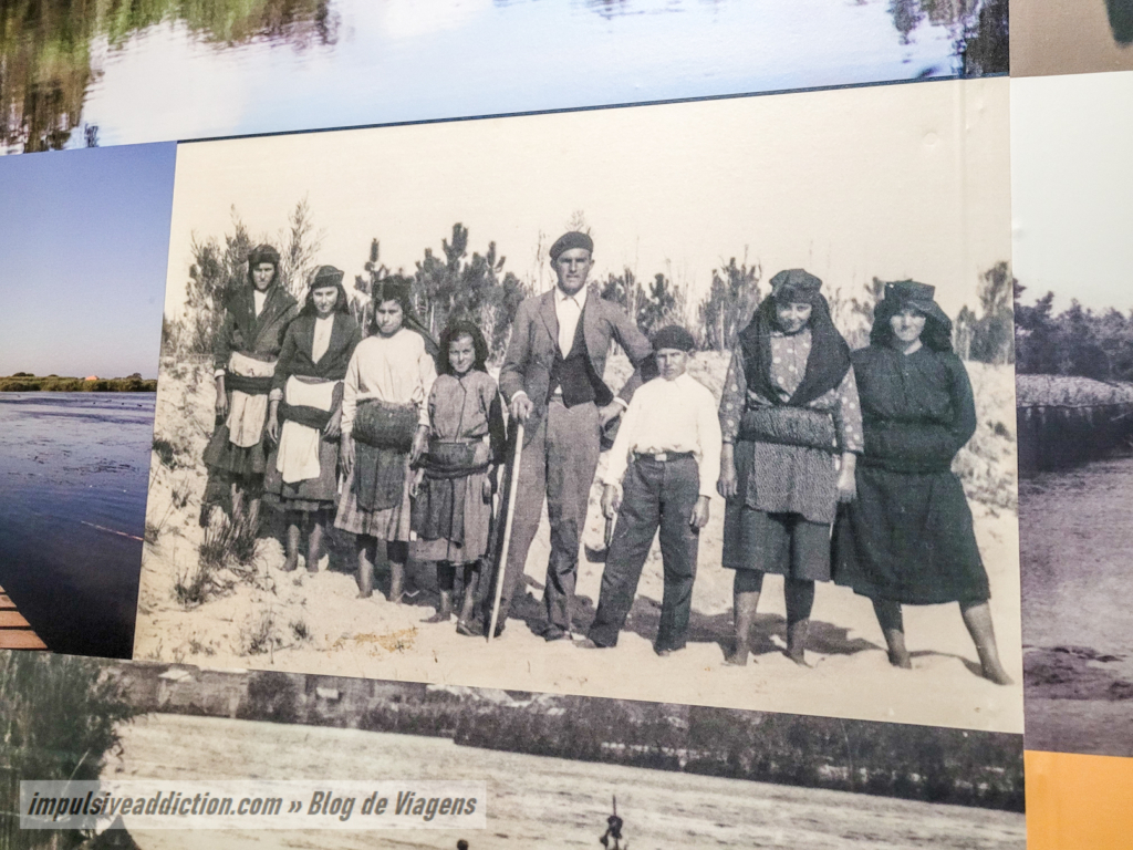 Gândara Territory Museum