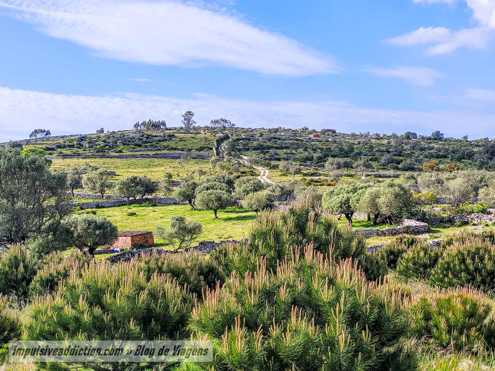 Paisagens da zona de São Bento
