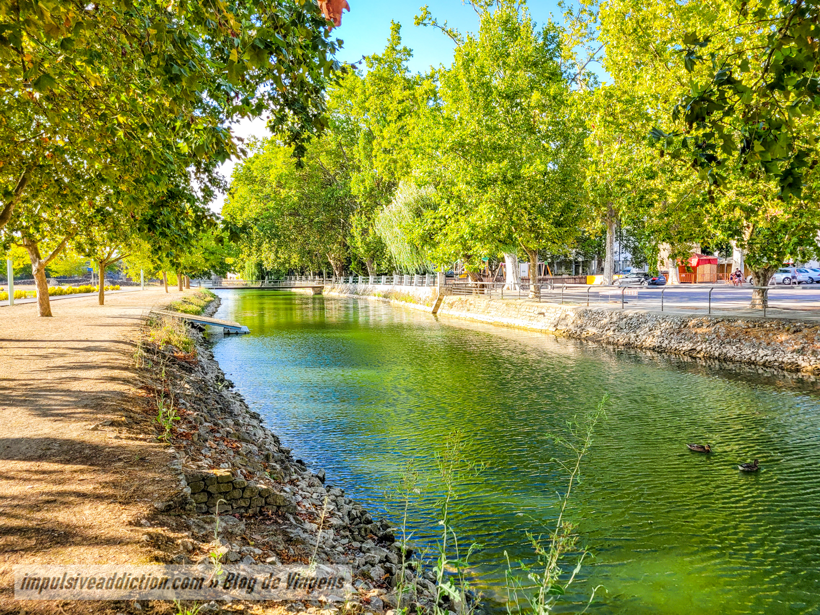 Parque dos Bacelos