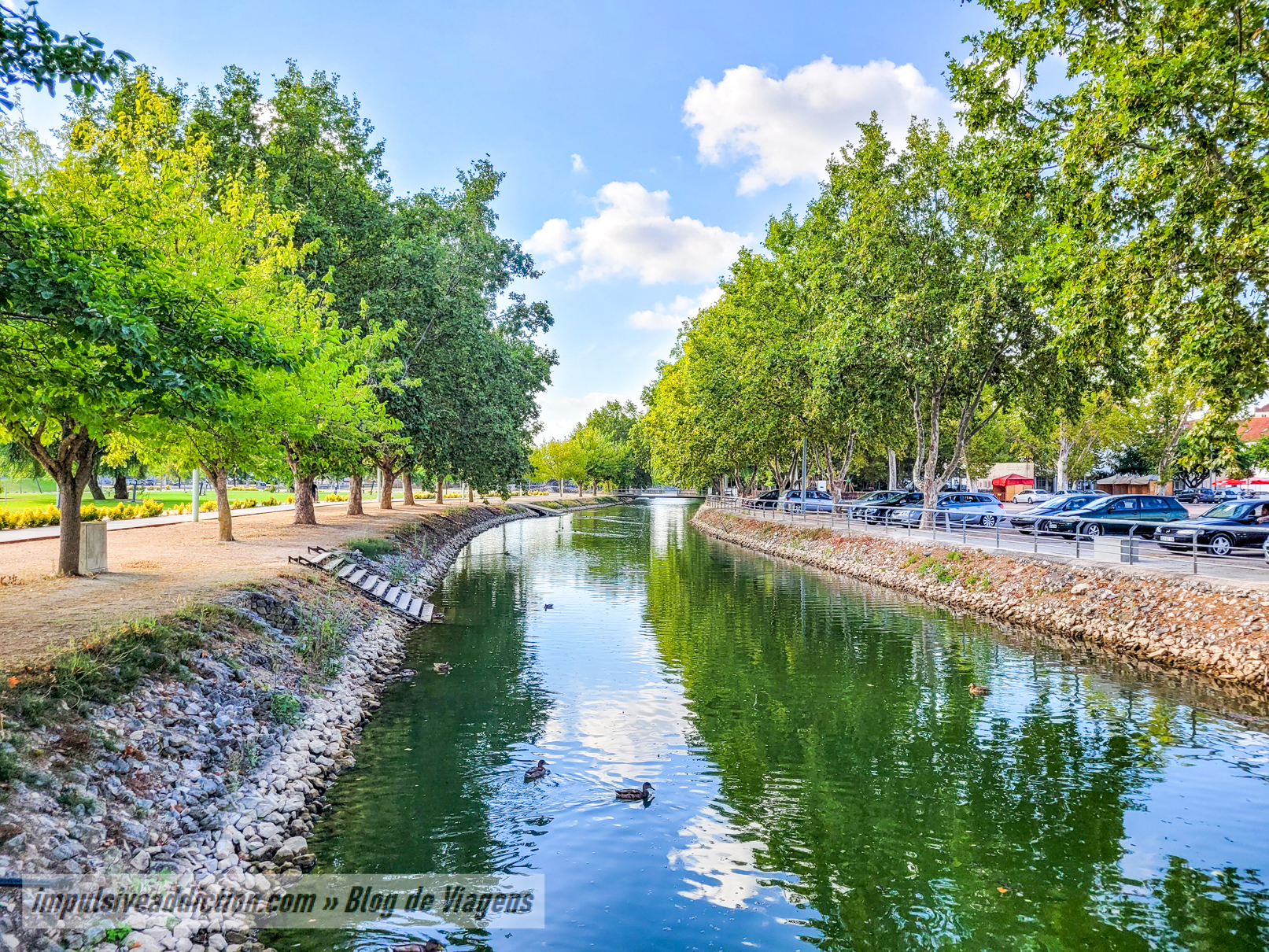 Parque dos Bacelos