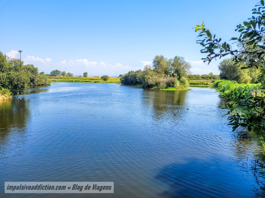 Lago do Parque Municipal da Murtosa