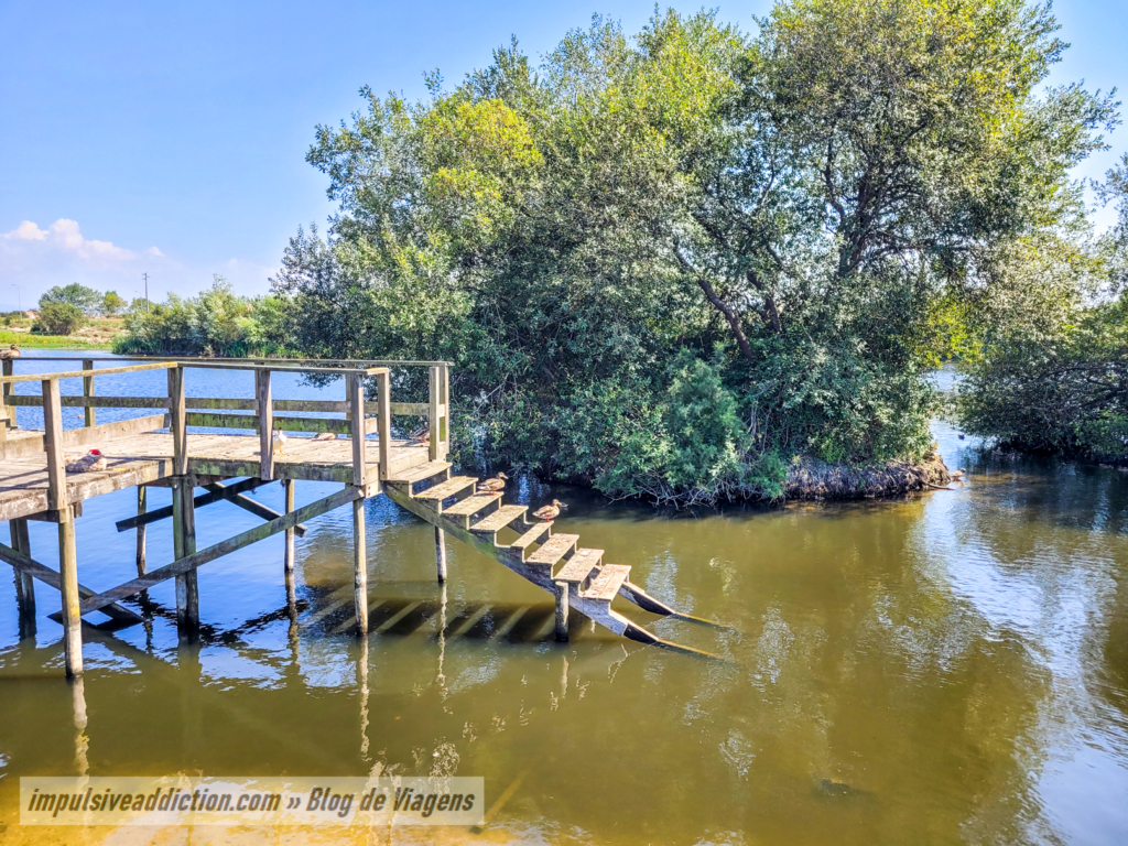 Lago do Parque Municipal da Murtosa