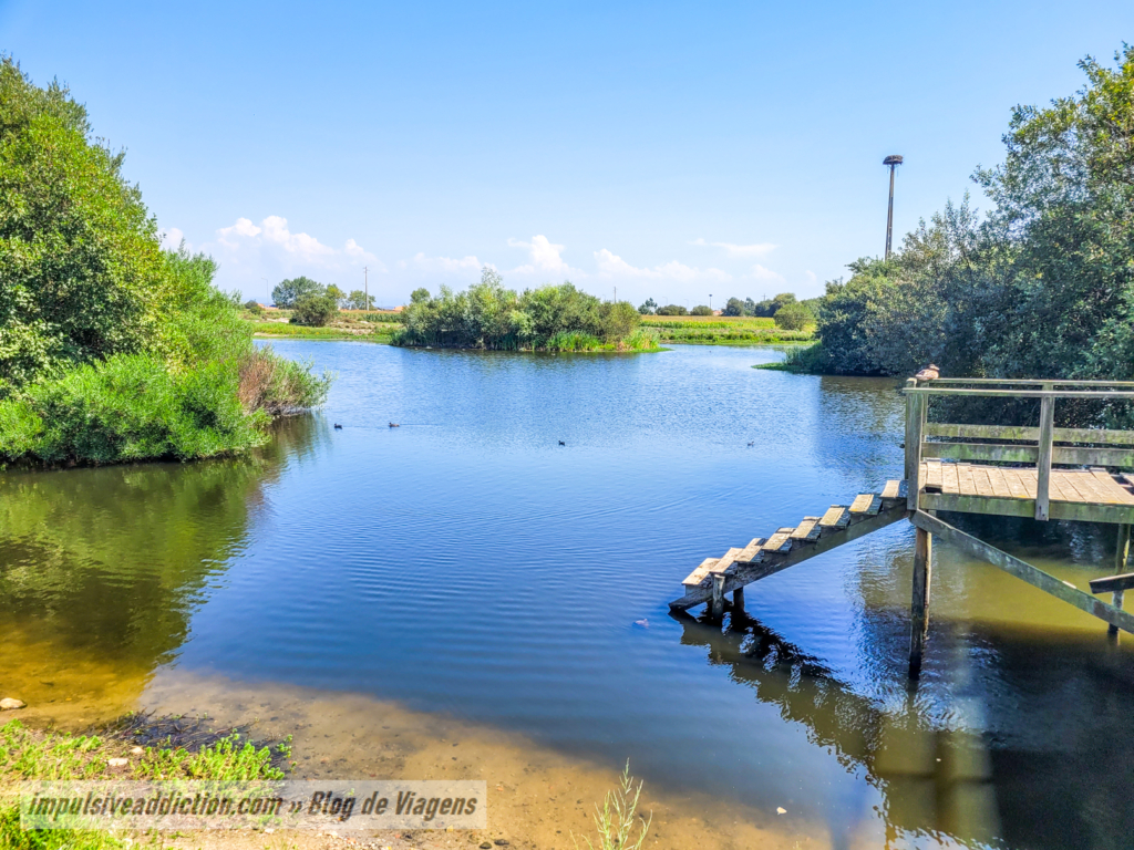 Lago do Parque Municipal da Murtosa