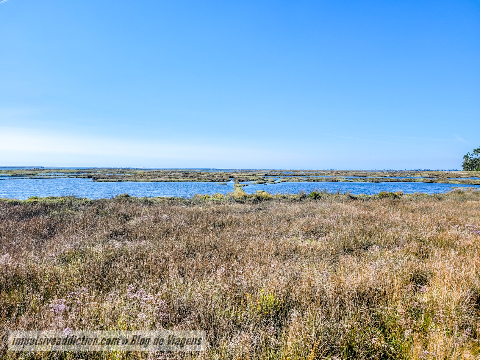 Paisagem da Ria ao fazer os Passadiços de Aveiro