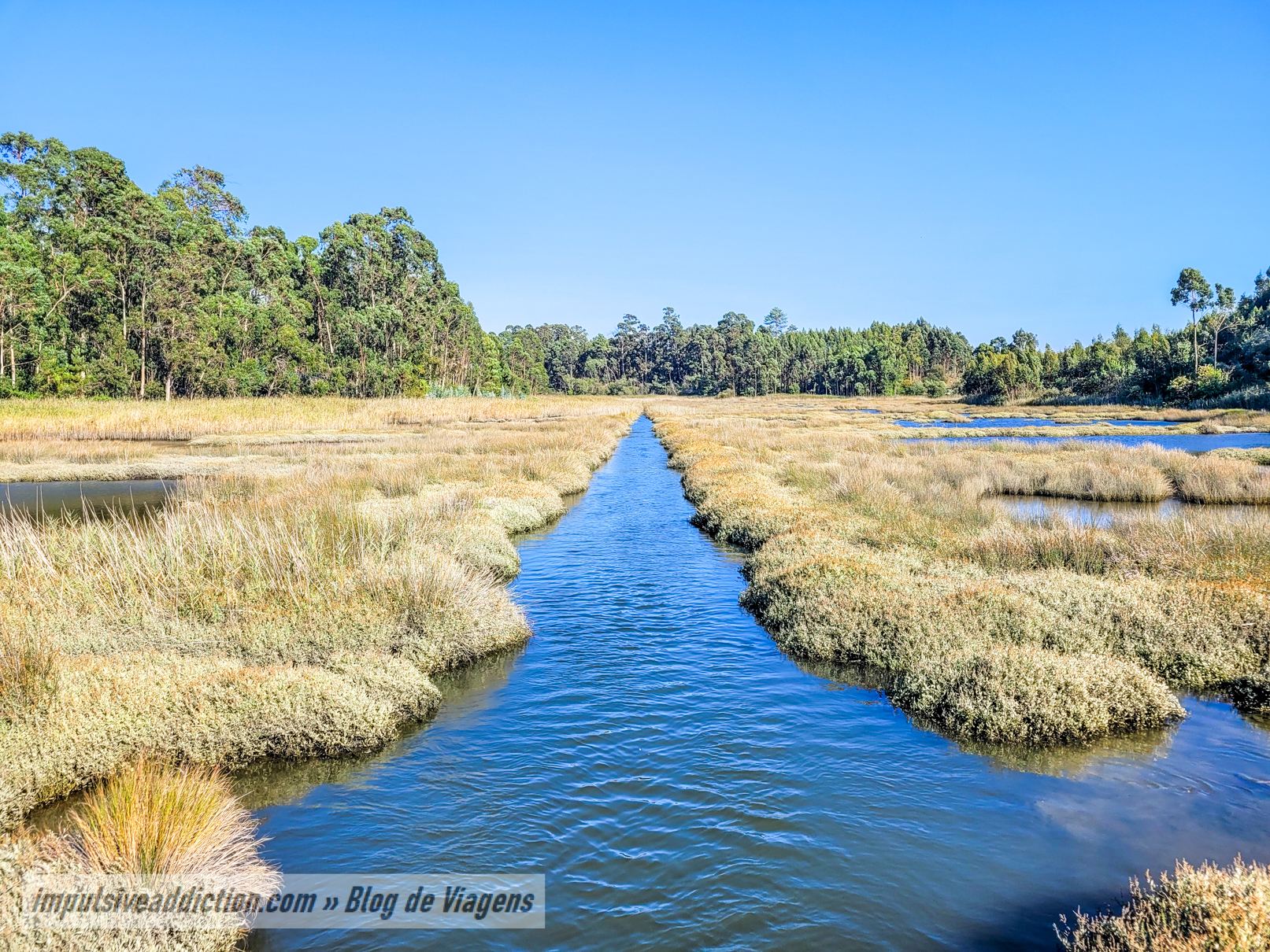 Paisagem da Ria ao fazer os Passadiços de Aveiro