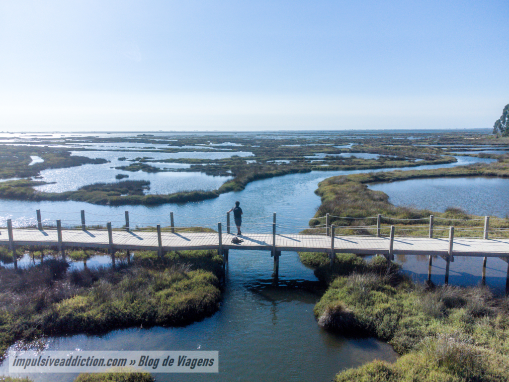 Landscape of Ria de Aveiro