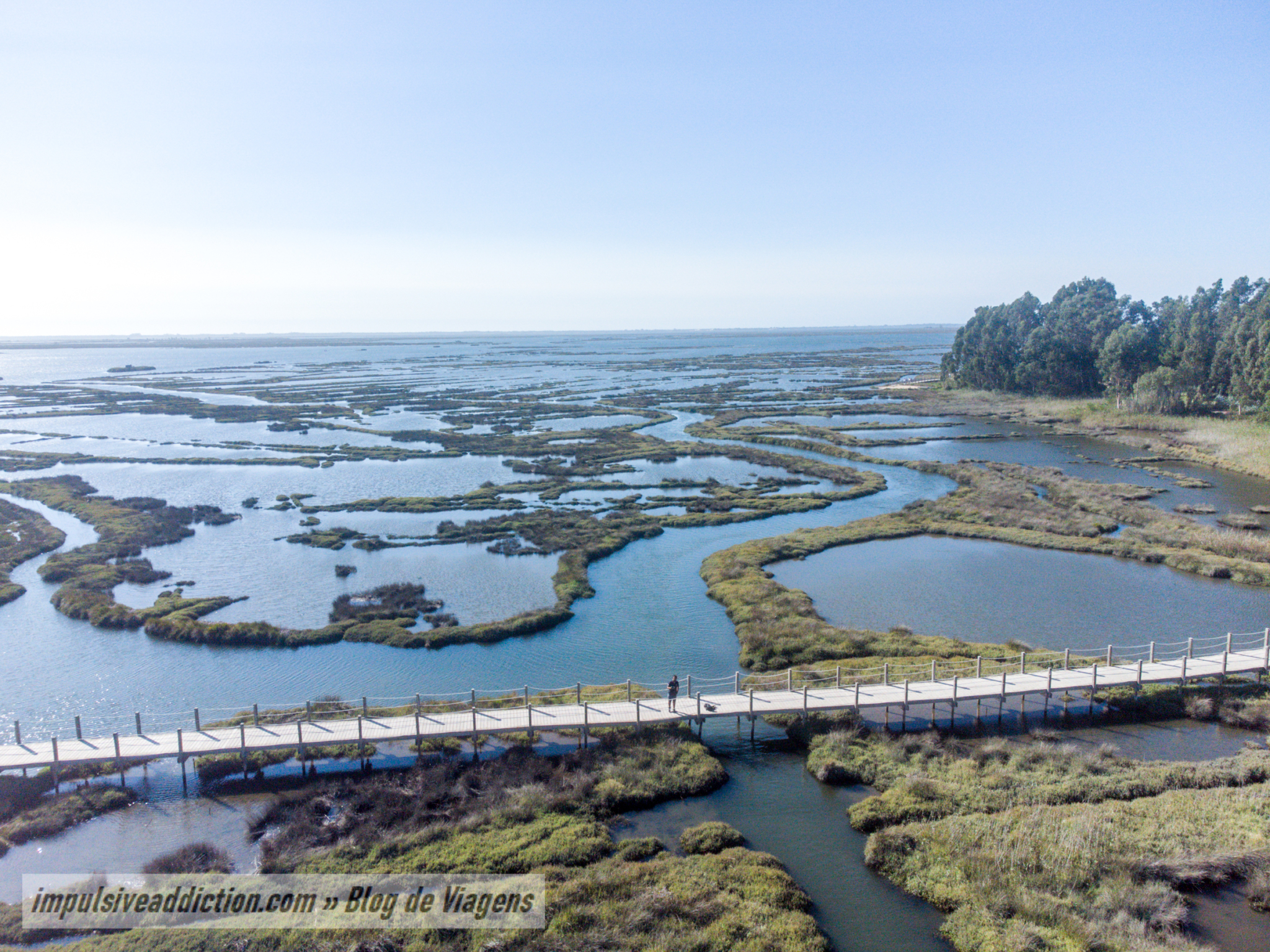 Paisagem da Ria ao fazer os Passadiços de Aveiro