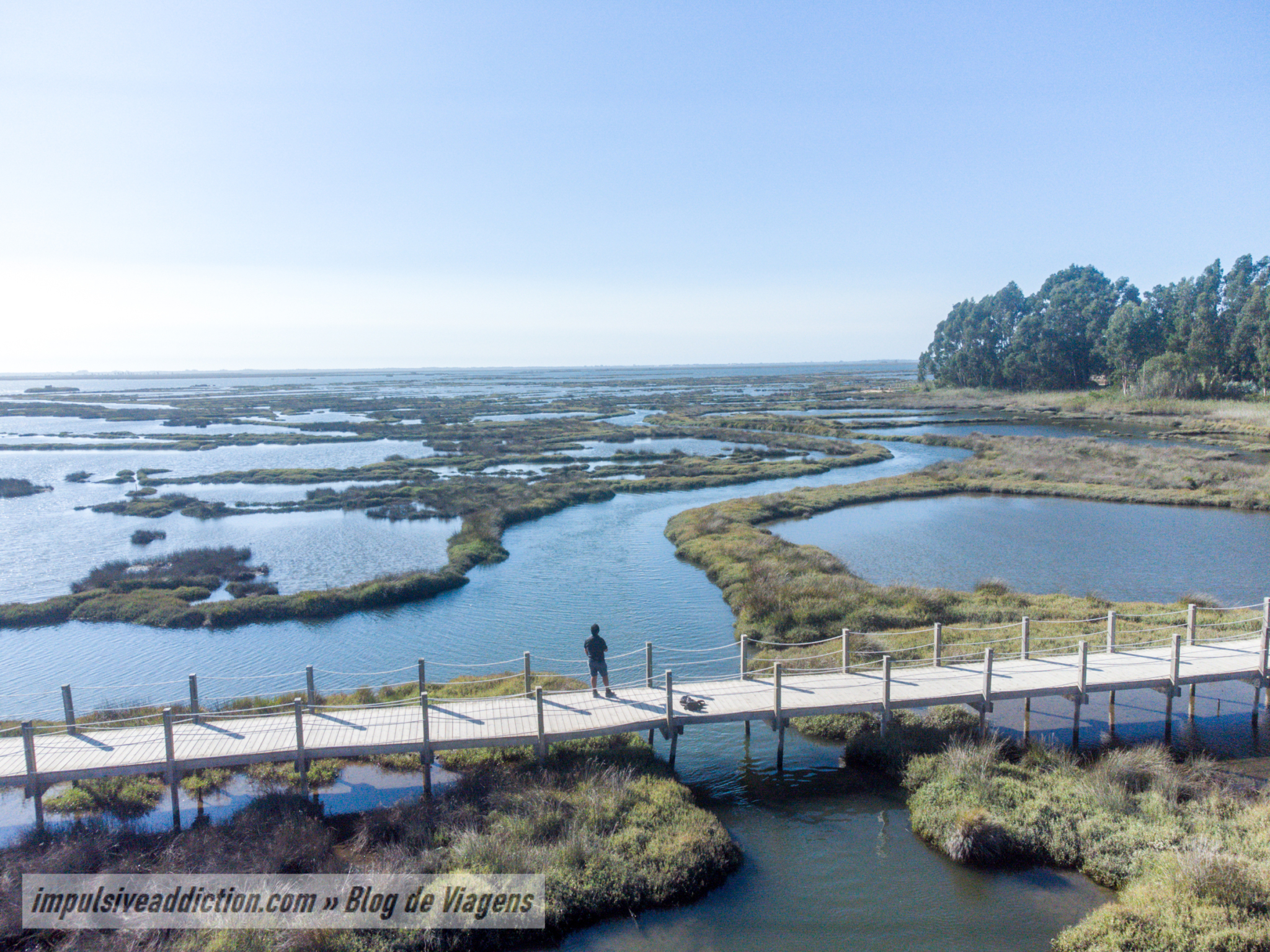 Paisagem da Ria ao fazer os Passadiços de Aveiro