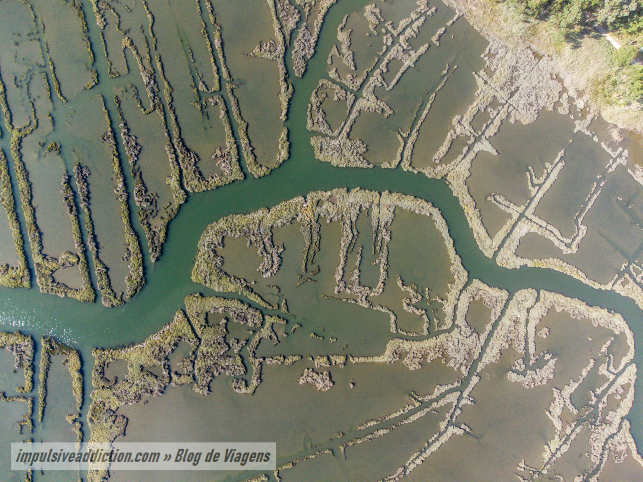 Paisagem da Ria ao fazer os Passadiços de Aveiro