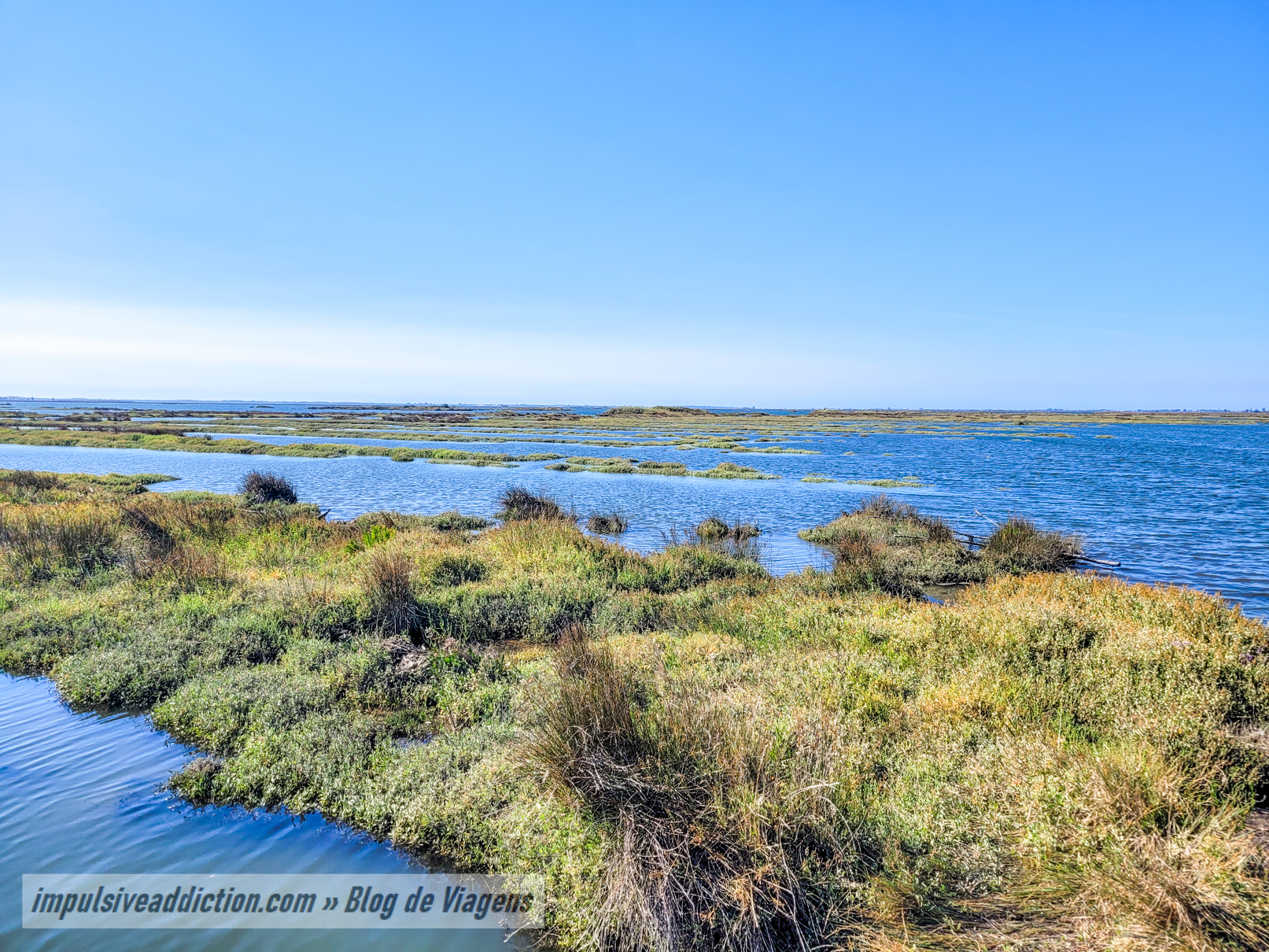 Paisagem da Ria ao fazer os Passadiços de Aveiro