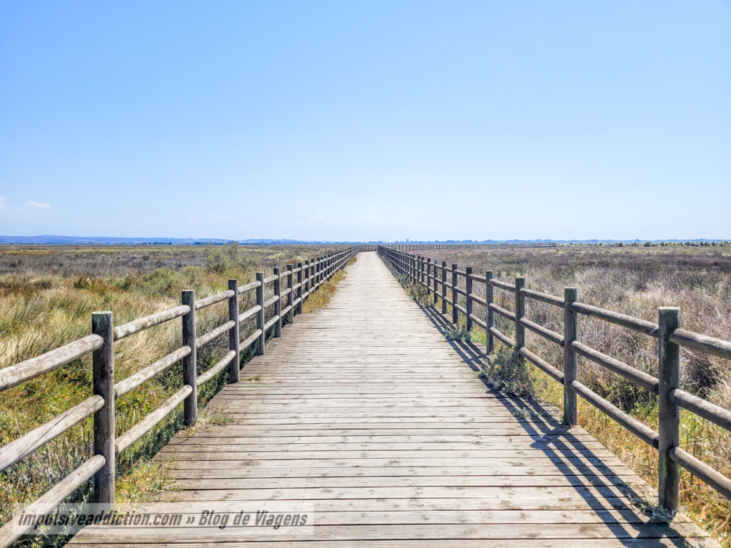 Passadiços da Ribeira Nova
