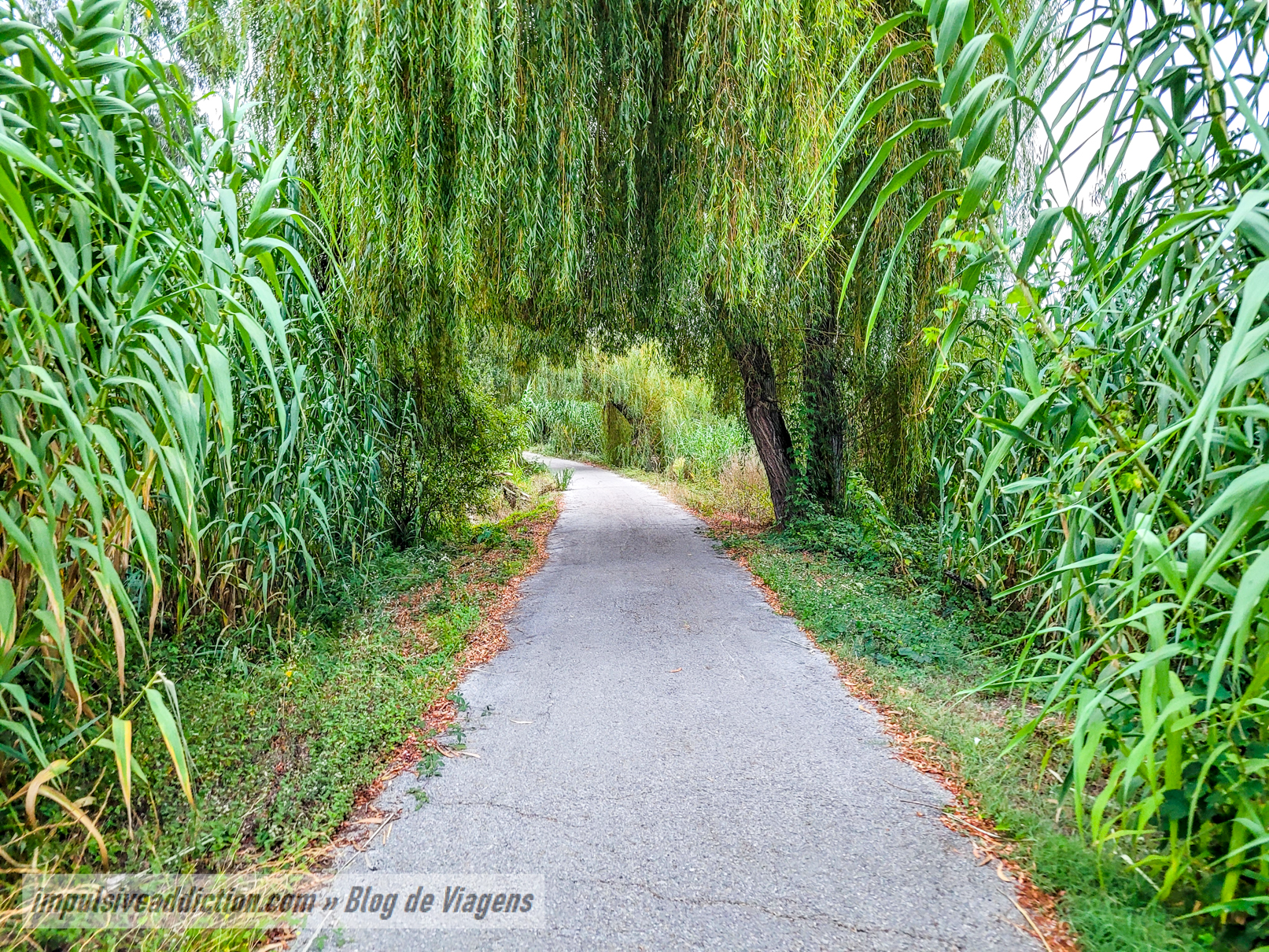 Mira cycle-pedestrian path