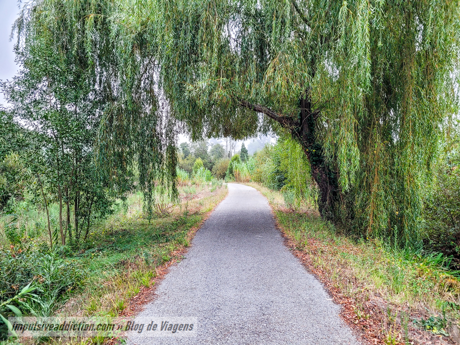 Mira cycle-pedestrian path