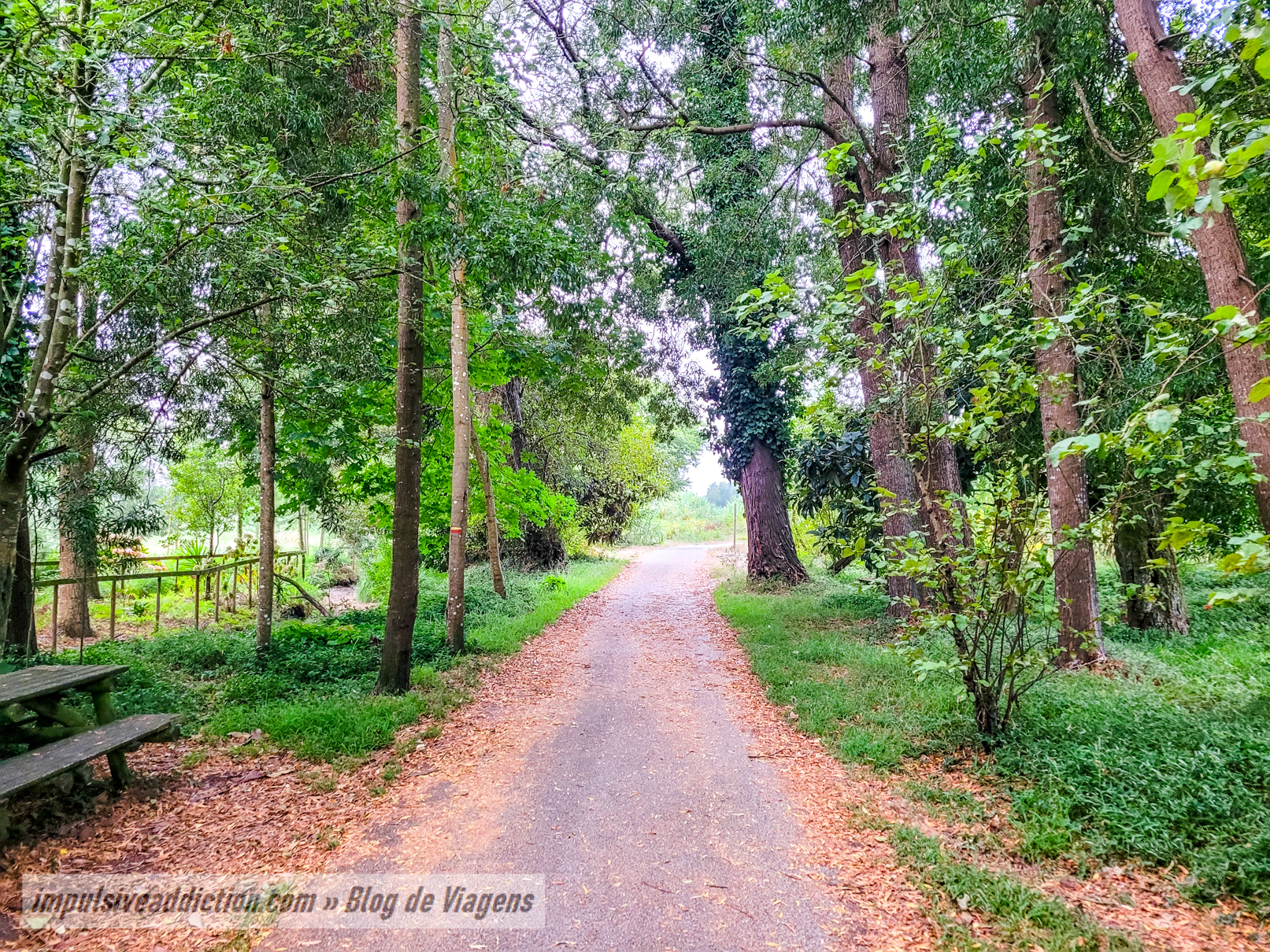 Mira cycle-pedestrian path