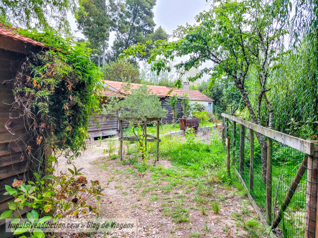 Watermills in Mira