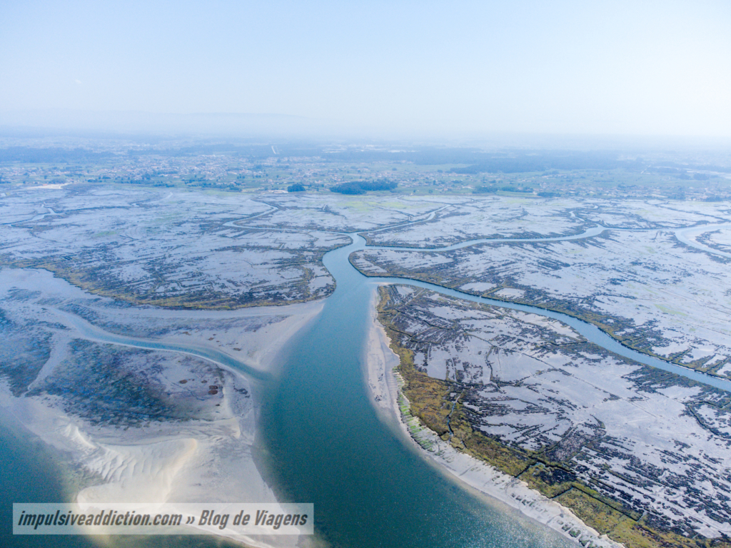 Ria de Aveiro em Murtosa