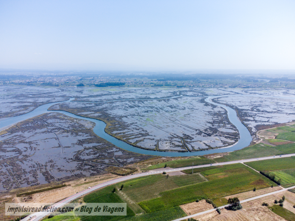 Ria de Aveiro em Murtosa