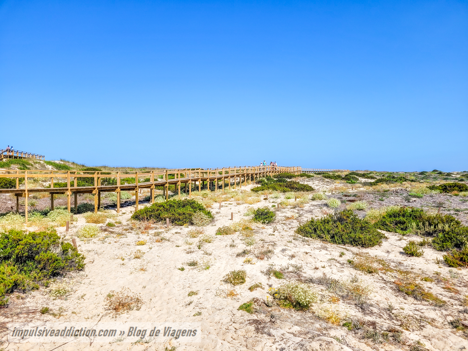 Passadiços e Dunas da Praia da Tocha