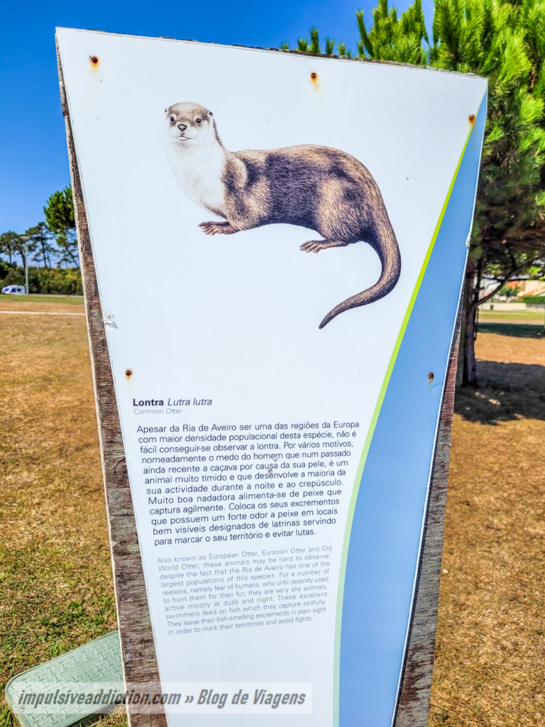 Painel Informativo sobre as Lontras da Ria de Aveiro