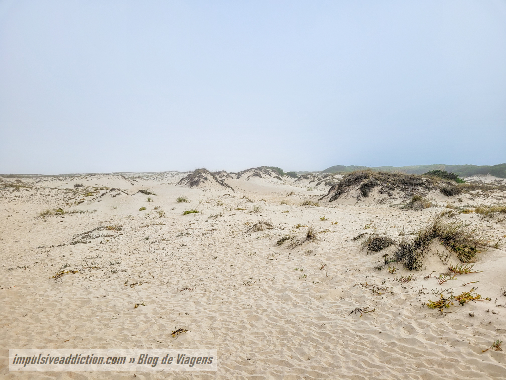 Dunes of São Jacinto Beach
