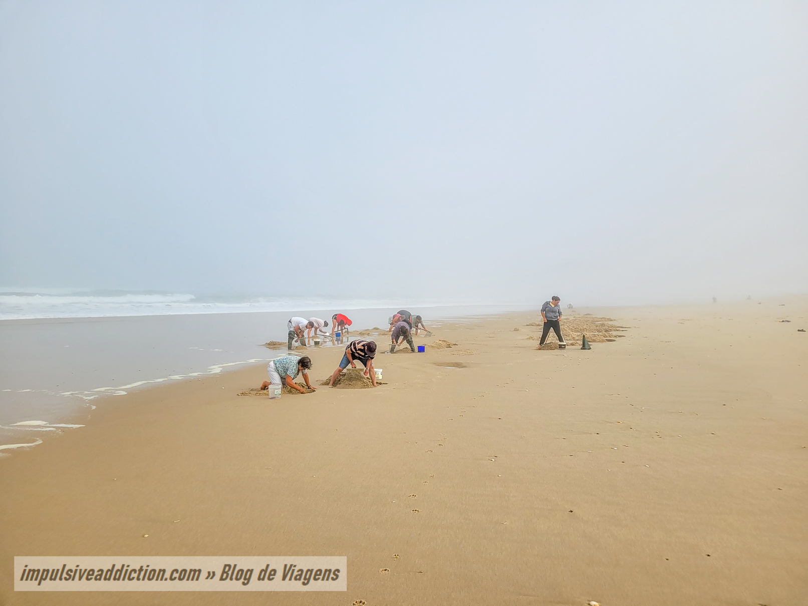 Catching fishing worms at São Jacinto beach
