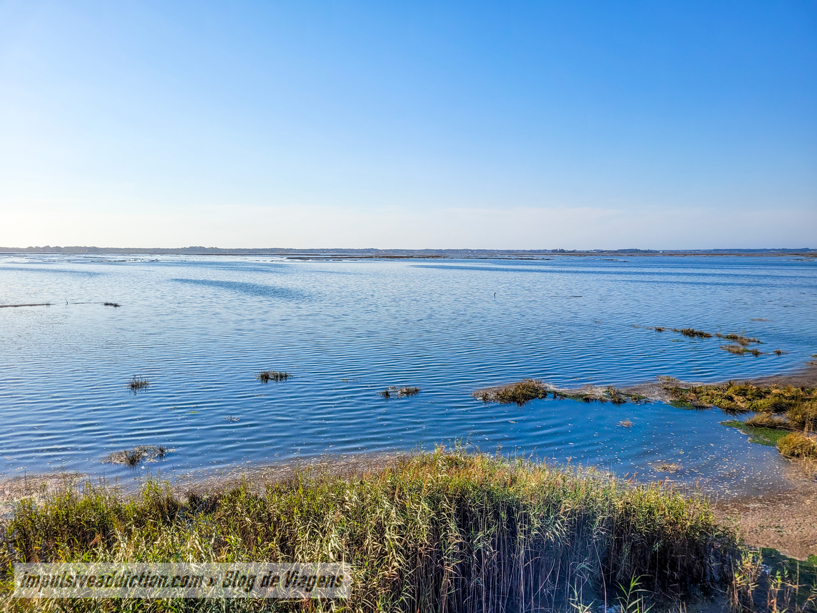Ribeira das Teixugueiras