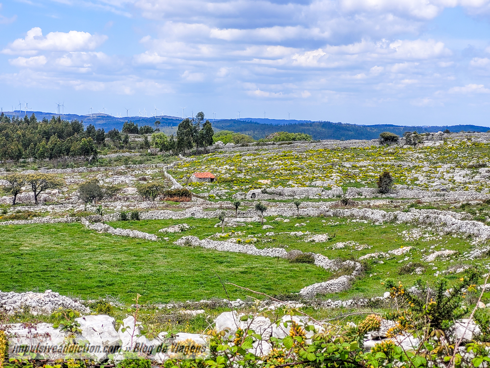 Landscape on Friars Route