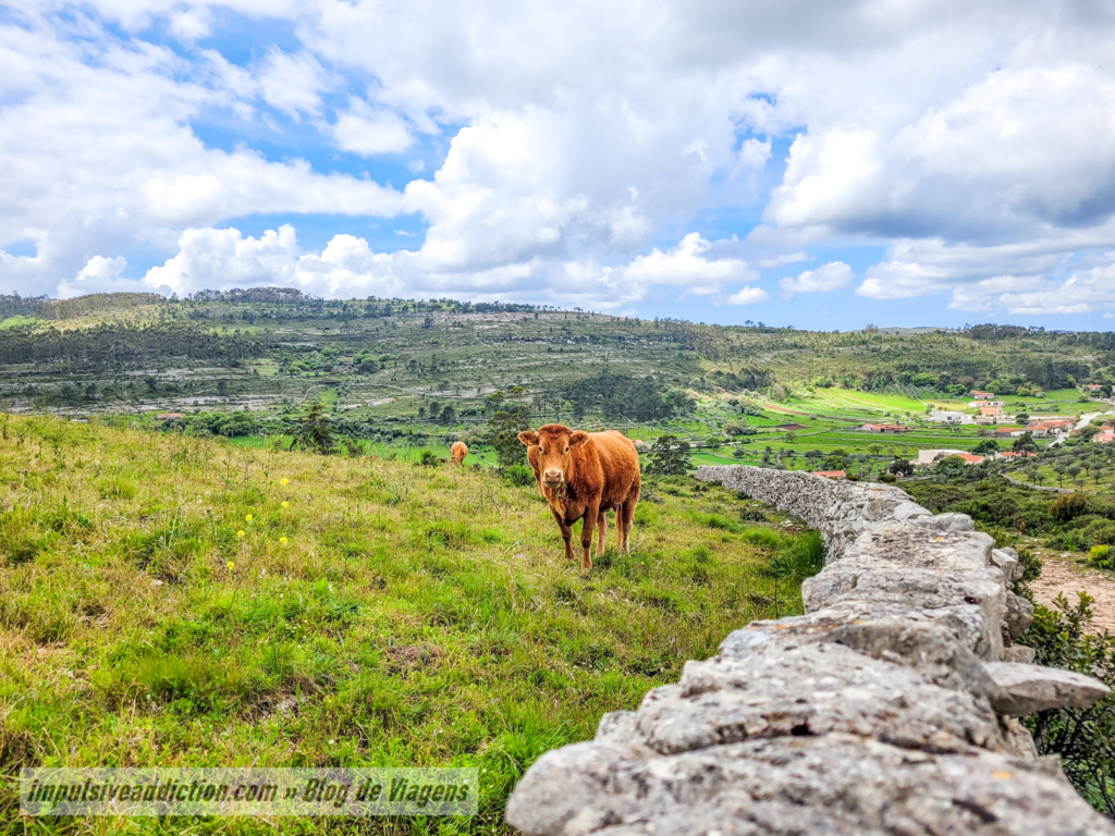 Paisagem no topo da Fórnea de Porto de Mós